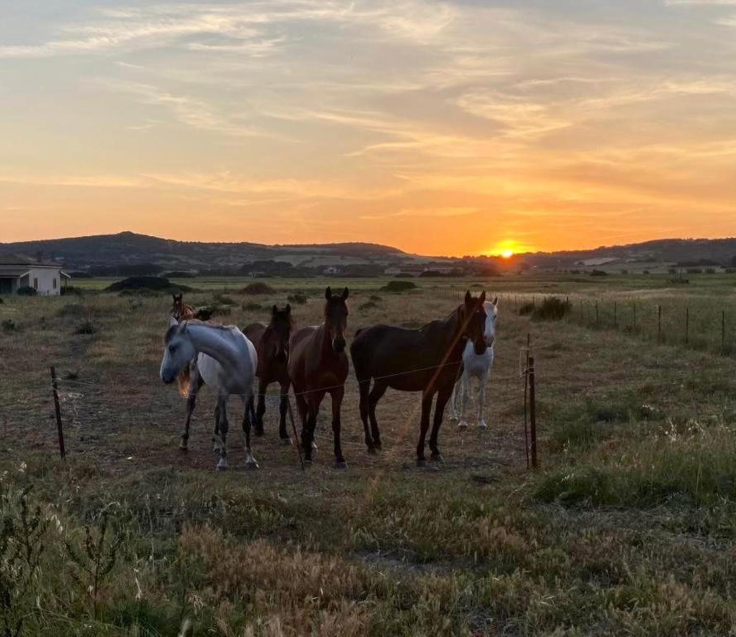 Agriturismo Glamping Erbe Matte SantʼAntìoco Esterno foto